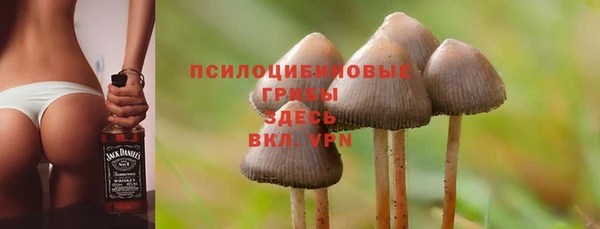 шишки Нефтегорск