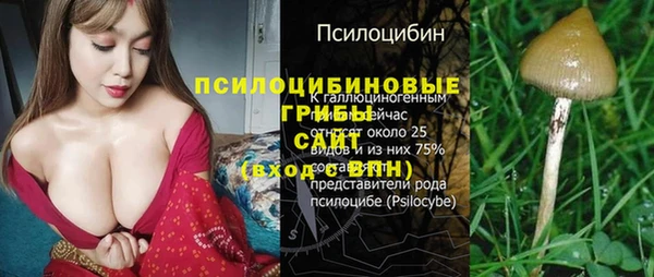 шишки Нефтегорск