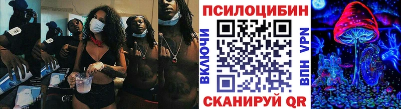 Псилоцибиновые грибы Magic Shrooms  МЕГА сайт  Бердск 